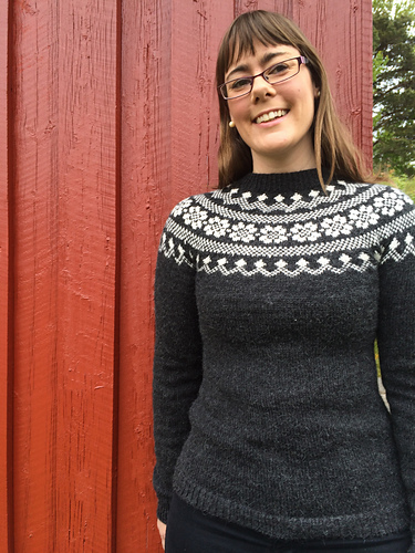 Slalåm/Senje Genser - Hannest