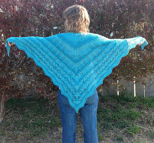 Spring Chill Shawl photo 1
