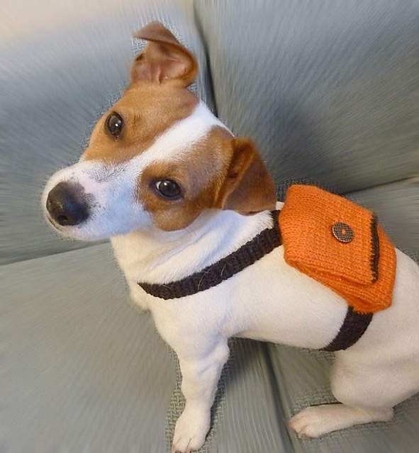 Ravelry Dog Backpack pattern by Jelena Nemcenko