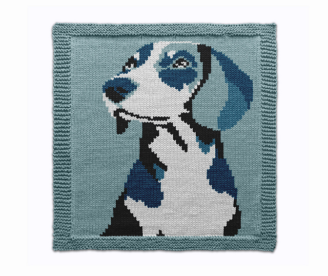 Dachshound Dog Color Square