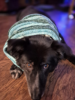 Lion Brand Mandala Ombré in Zen