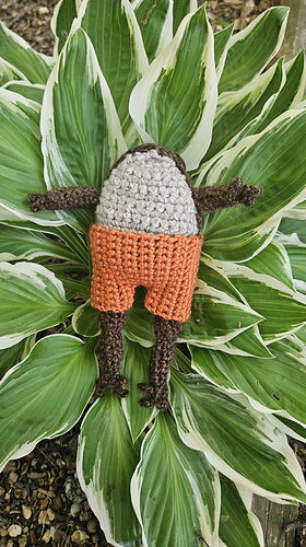 Lively Little Shorts