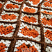 The Pumpkin Season Throw pattern