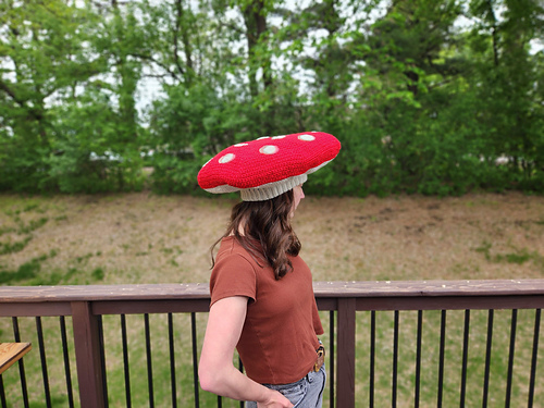 Amanita Mushroom Beanie