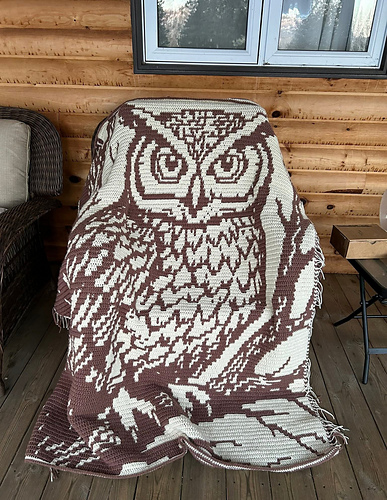 Night Owl - Overlay Mosaic Crochet Blanket 다른 모습 6