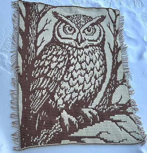 Night Owl - Overlay Mosaic Crochet Blanket 다른 모습 5