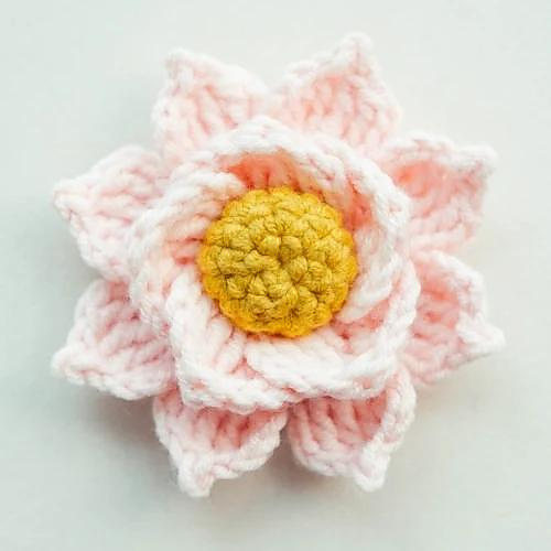 Water Lily Flower