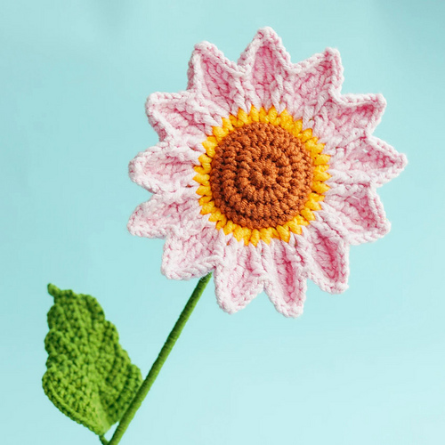 Pink Sunflower