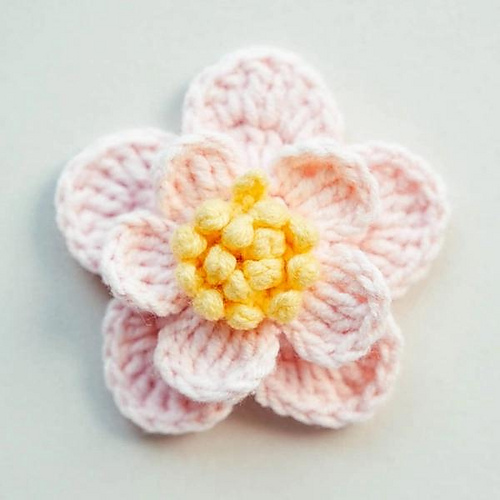 Cherry Blossom