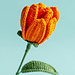 Emperor Tulip pattern