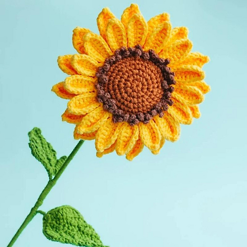Sunflower with Seeds