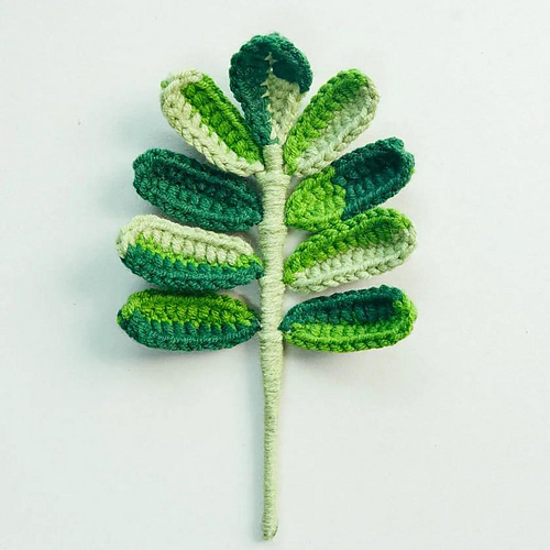 Variegated Palm Leaf