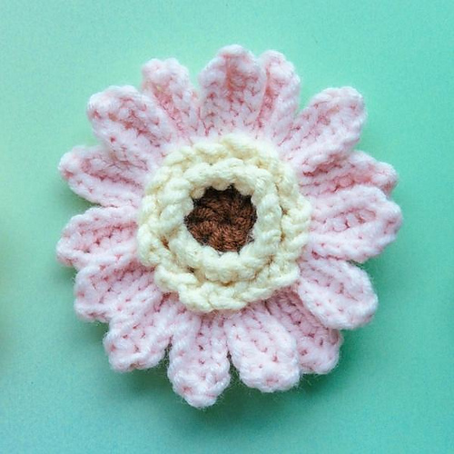 Gerbera Daisy