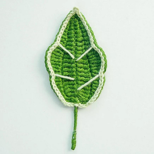 Alocasia Leaf