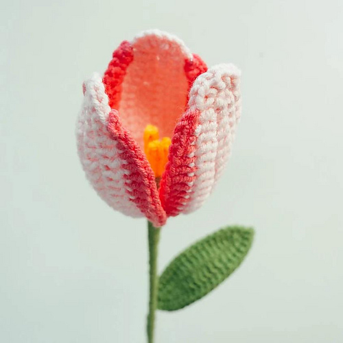 Triumph Tulip