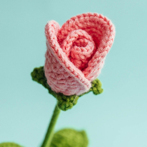 Wine Glass Rose