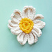 White Daisy pattern