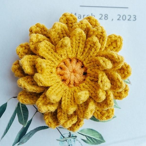 Chrysanthemum Flower