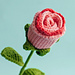 Cupped Rose pattern