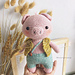 Little Pig Lizi pattern 