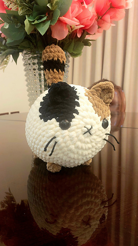 Cozy cat