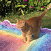 Rainbow Burst Blanket pattern 