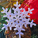 Snowflake Moss pattern 