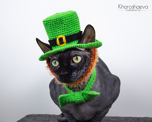 St Patrick's kostyme til katt - Irina Khoroshaeva