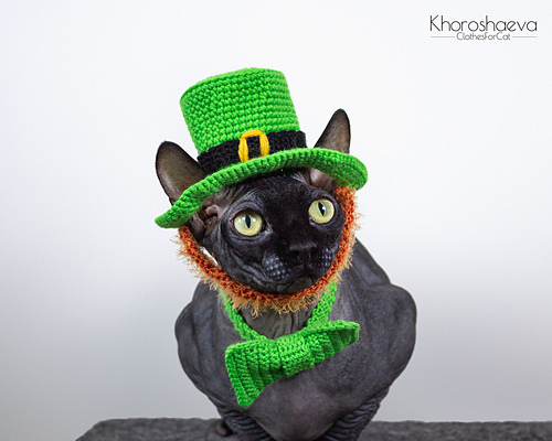 St Patrick's kostyme til katt - Irina Khoroshaeva