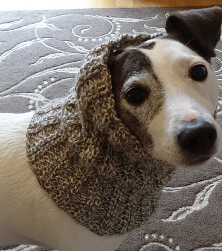 Dog Snood or Neck Warmer photo 4