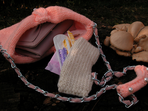 Panty Liner Case photo 2