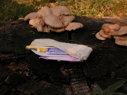 Panty Liner Case photo 9