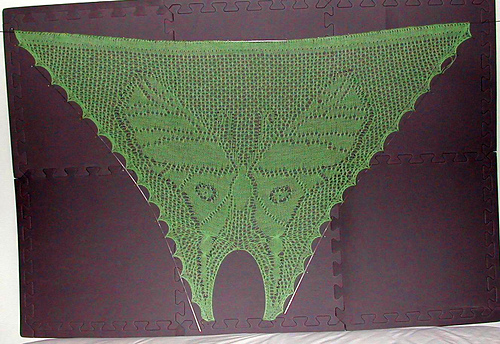 Limberlost Luna Moth photo 8