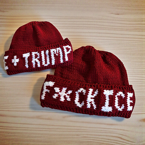 F**K Ice and Trump Beanie