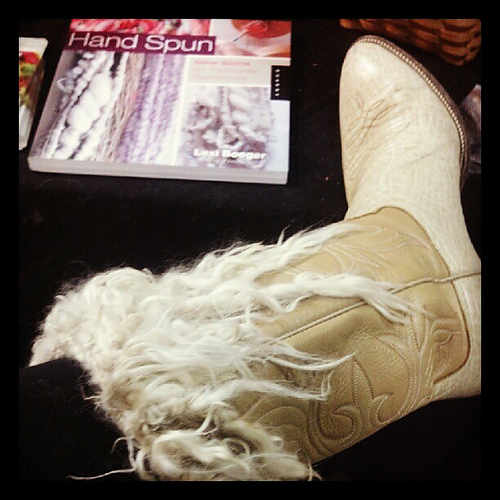 JazzTurtle Tailspun Bootoppers photo 1
