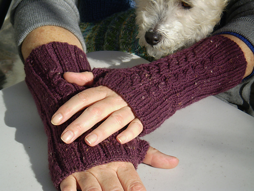 Sonja's Fingerless photo 3