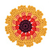 Blanket Flower pattern