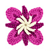 Fireweed pattern