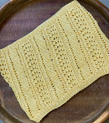 Malabrigo Silky Merino in "Pollen"
