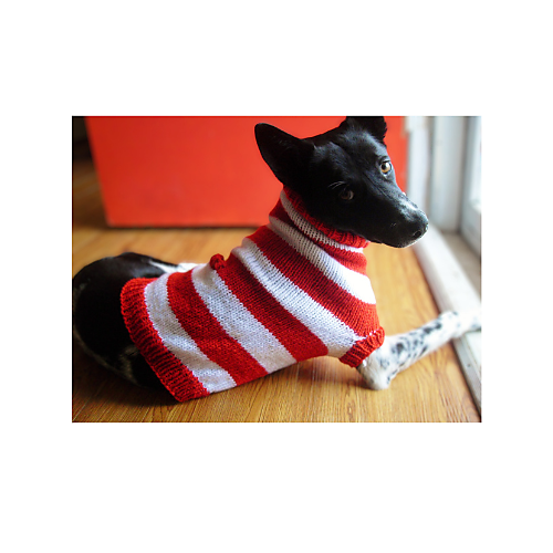 Hundegenser Waldo (og katter også!) - Jeslane