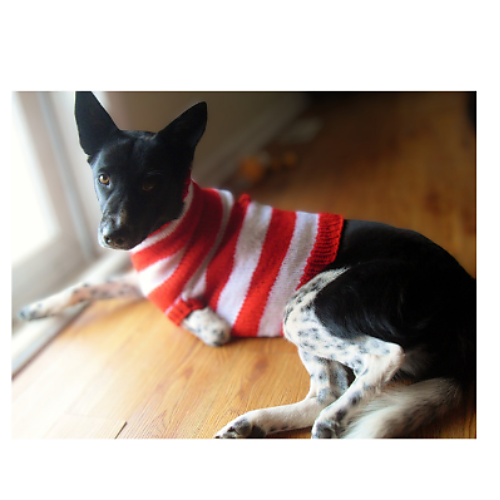 Hundegenser Waldo (og katter også!) - Jeslane