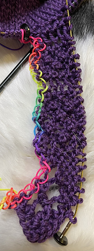 2025-04-05 1st repeat of Blackberry Edging done!