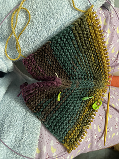 2026-03-10 just past the middle of the first earflap 