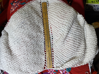 2023-09-06 Just over a foot long at 217 stitches wide.