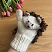 Hedgehog Mittens pattern