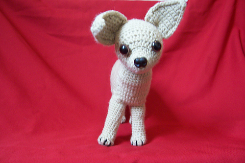 TiChi Dog