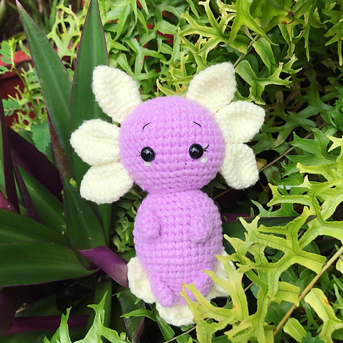 Axolotl photo 5