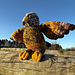 Kahu the Harrier Hawk pattern 