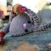 Tumbling Bunnies pattern 