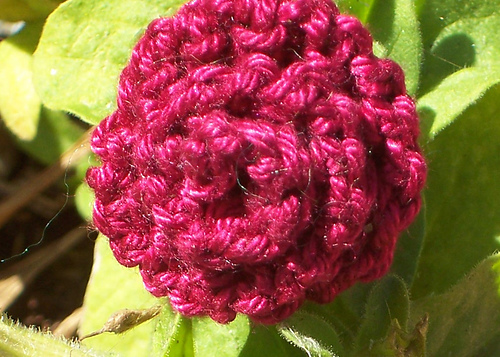 Knitted Roses photo 1